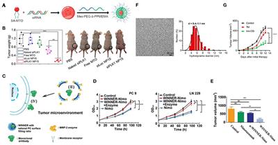 Bioresponsive Nanomedicine: The Next Step of Deadliest Cancers' Theranostics